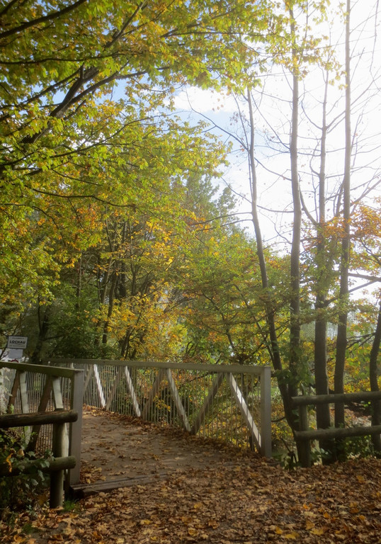 Herbst am See _33__jpg-1382453339