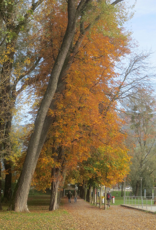 Herbst am See _35__jpg-1382453353