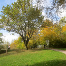 Herbst am See _34__jpg-1382453346