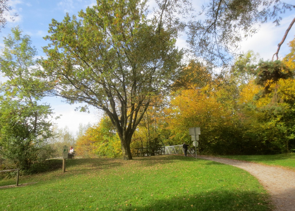 Herbst am See _34__jpg-1382453346