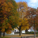 Herbst am See _37__jpg-1382453364