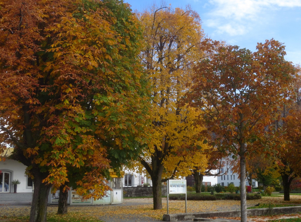Herbst am See _37__jpg-1382453364