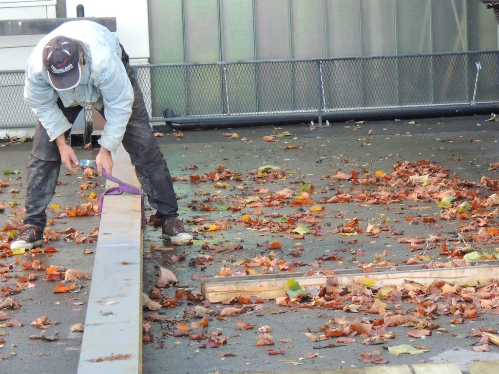 DSCN8443_JPG-1382475235