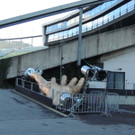 DSCN8451_JPG-1382475243