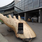 DSCN9473_JPG-1382475552