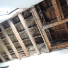 DSCN5498_JPG-1382476192