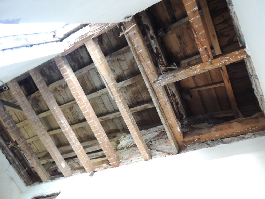 DSCN5498_JPG-1382476192