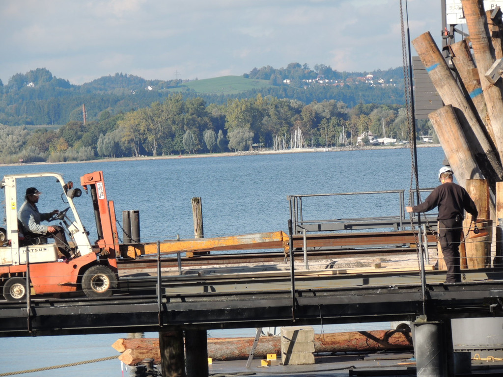 DSCN8460_JPG-1382478909