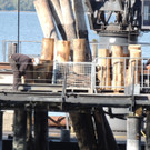 DSCN8436_JPG-1382478863