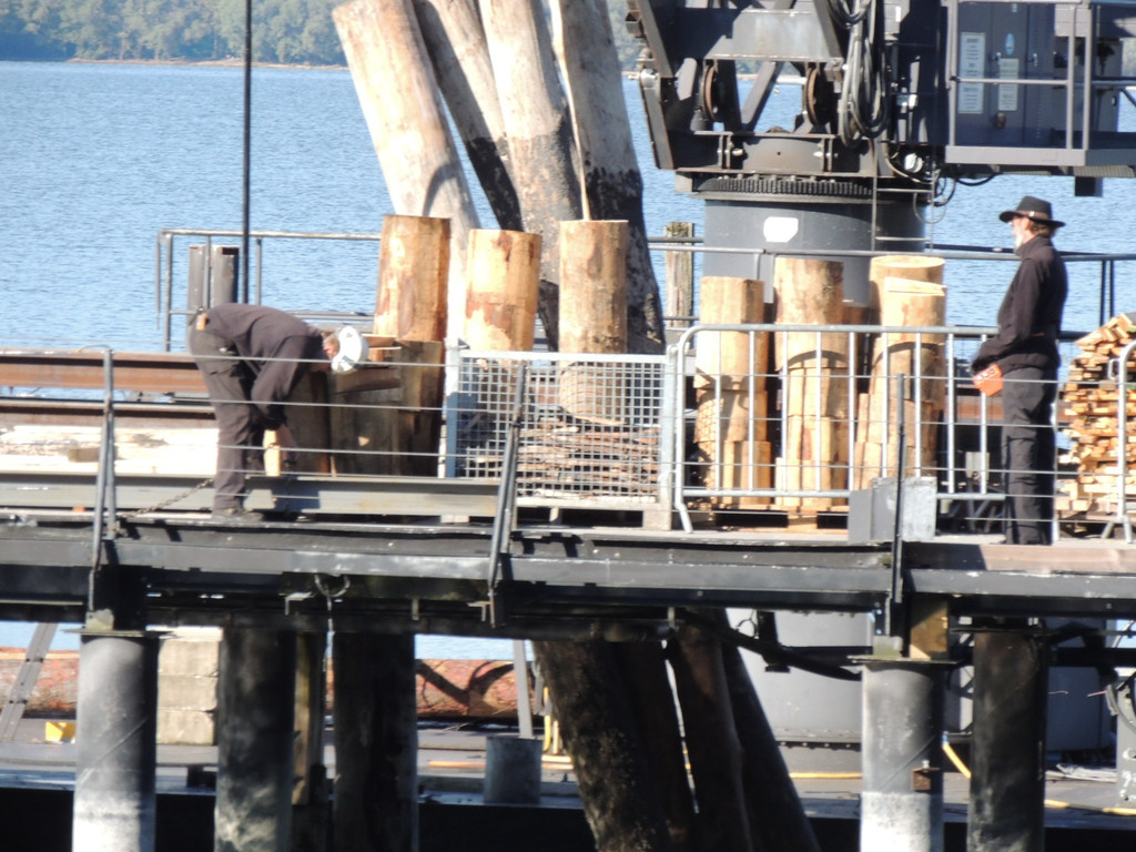 DSCN8436_JPG-1382478863