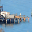 DSCN8813_JPG-1382478913