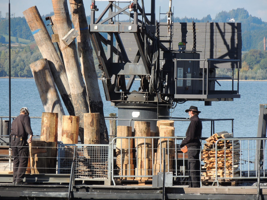 DSCN8437_JPG-1382478867