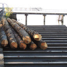 DSCN8455_JPG-1382478892