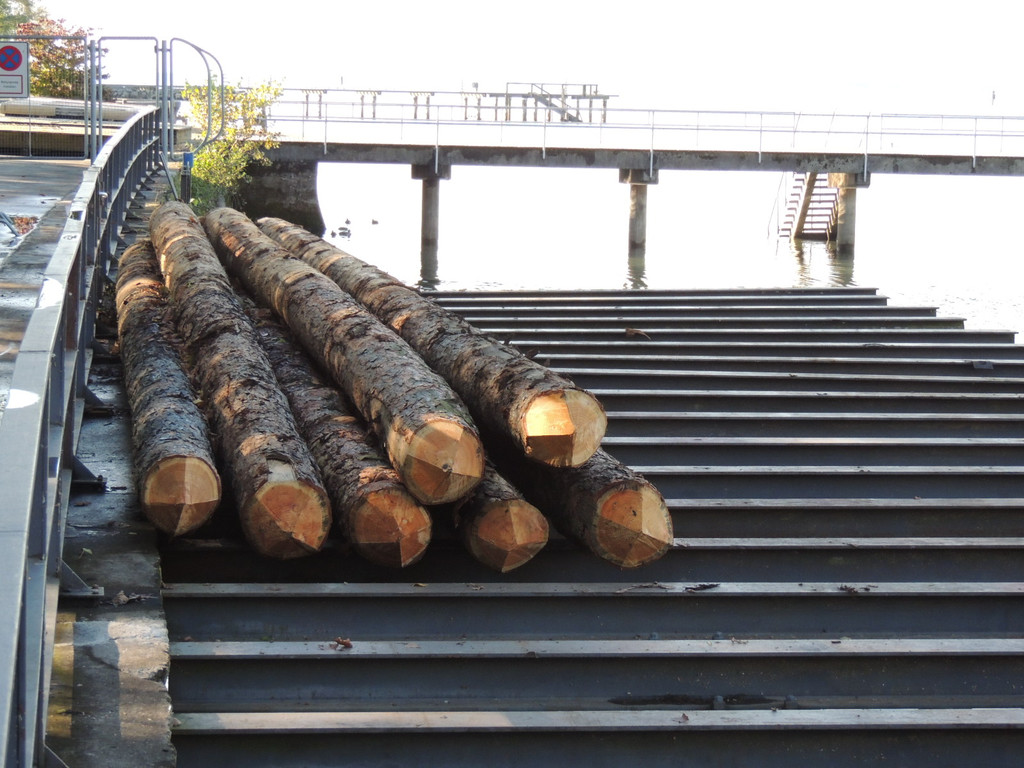 DSCN8455_JPG-1382478892