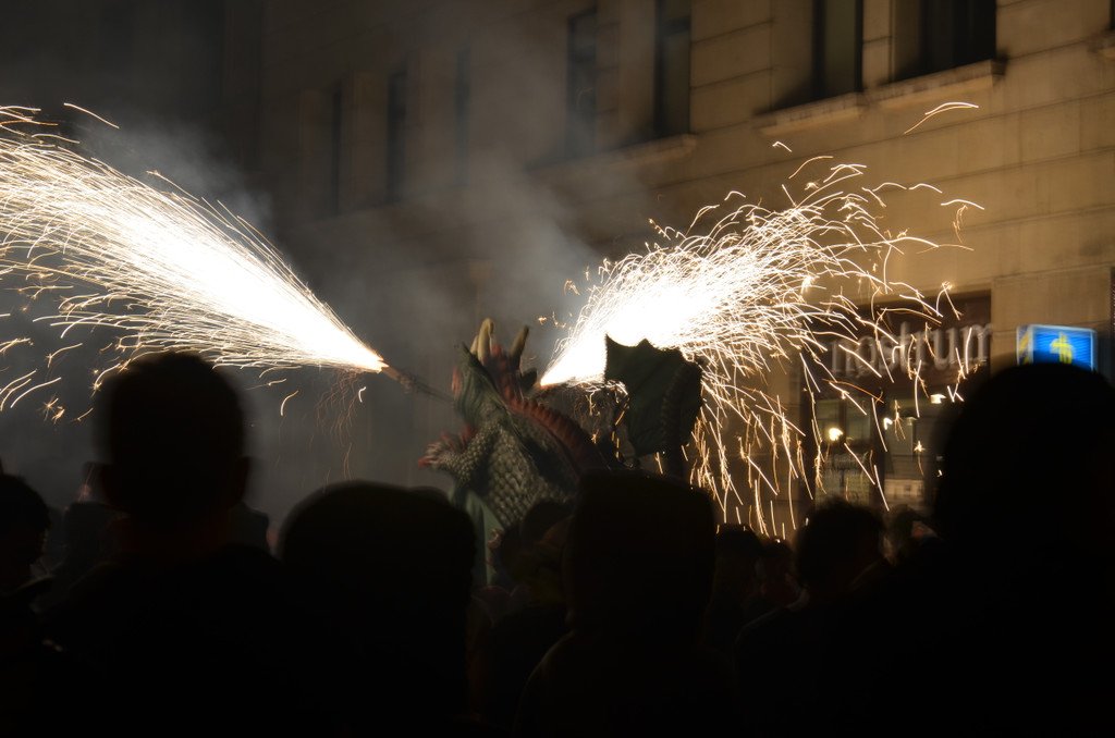 DSC_0379.JPG