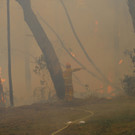 IBD0046-20131022.jpg