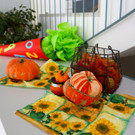 KOE_Mittagsbetreuung VS Agasella 16_jpg-1382553185