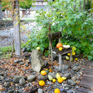 KOE_Sunnahof Tufers 10_jpg-1382604090