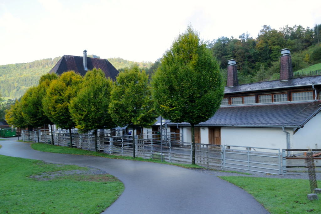 KOE_Sunnahof Tufers 11_jpg-1382604096
