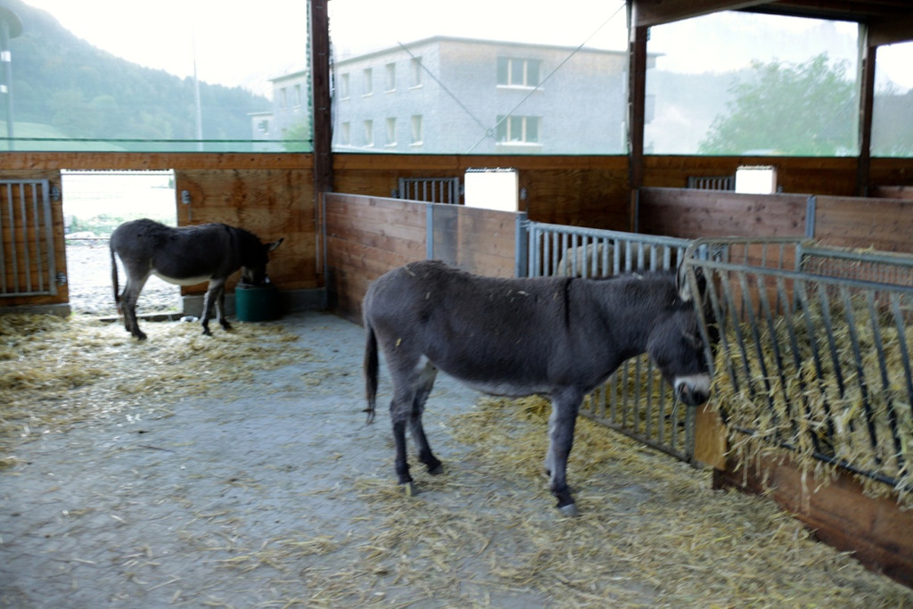 KOE_Sunnahof Tufers 13_jpg-1382604110