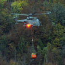 IBD0759-20131023.jpg