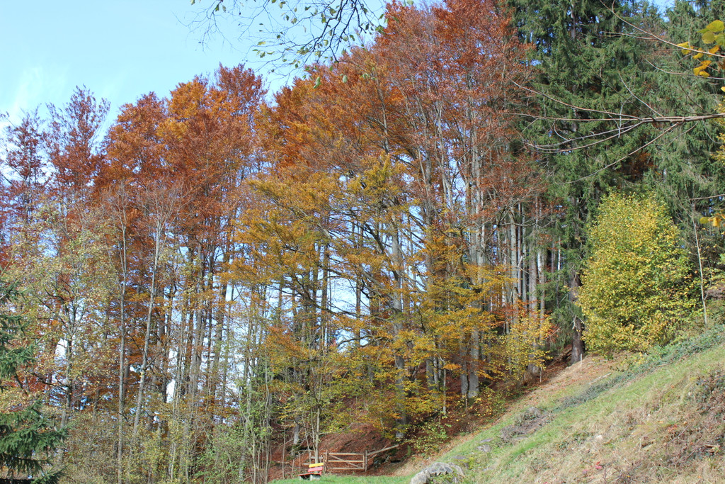 IMG_8317_JPG-1382623342