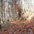 IMG_8332_JPG-1382623481