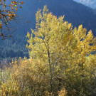 IMG_8356_JPG-1382623621
