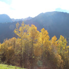 IMG_8359_JPG-1382623634
