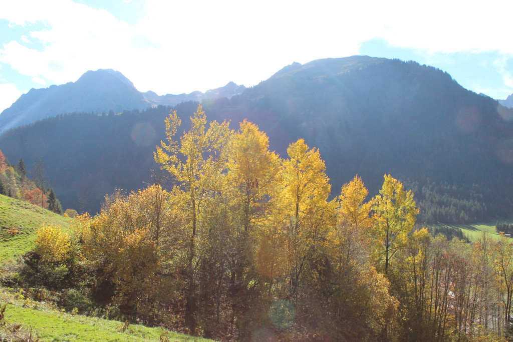 IMG_8359_JPG-1382623634