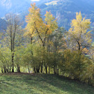 IMG_8389_JPG-1382623732