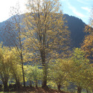 IMG_8393_JPG-1382623752