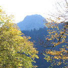 IMG_8399_JPG-1382623788