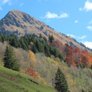 IMG_8409_JPG-1382623834