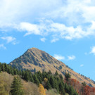 IMG_8411_JPG-1382623848