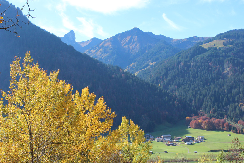 Haupt_JPG-1382623922