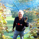 KOE_Traubenlese Roesler Goefis 21_jpg-1382633255