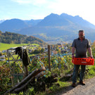 KOE_Traubenlese Roesler Goefis 26_jpg-1382633293
