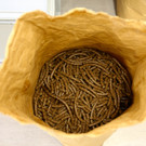 KOE_Goldmuehle Goefis 02_jpg-1382638669