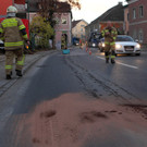 24102013oelat05017aktivnews _13_.jpg