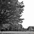 8_aab445585eba21063d7a13fc418e871a_640.jpg