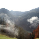 24102013herbstde01001aktivnews_07.JPG