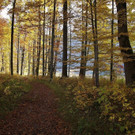 21102013juweloffenseeat02001aktivnews__34_.JPG