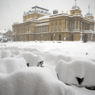 Winter - TEST