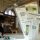  Naturhistorisches Museum Wien: Sonderschau "Das Geschäft mit dem Tod – das letzte Artensterben?"