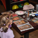 DSC_9152 _Large_.JPG