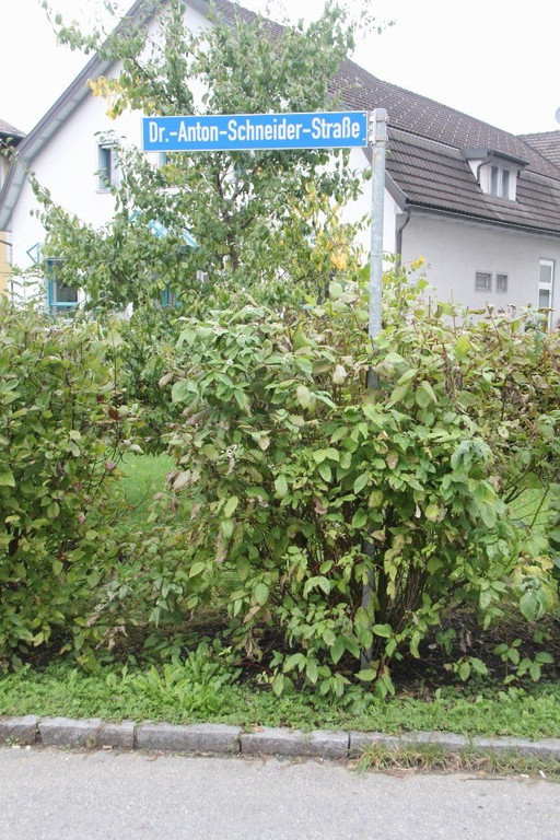 Dr_-Anton-Schneider-Stra__e_1.jpg