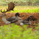 ABD0029-20131020.jpg