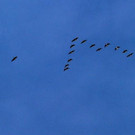 ABD0002-20131023.jpg