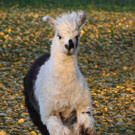 ABD0007-20131023.jpg